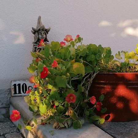 Kaethes Sommerhaus Schöna Exteriör bild