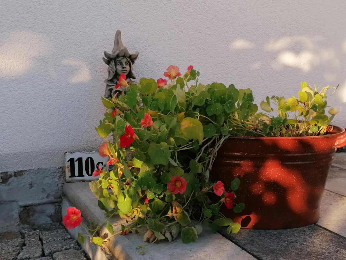 Kaethes Sommerhaus Schöna Exteriör bild